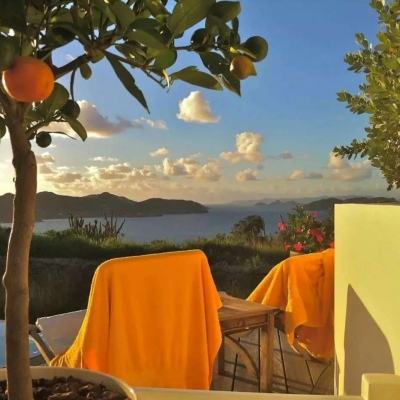 香港2023正版免费资料app下载