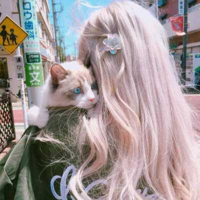 熊猫娱乐appapp下载