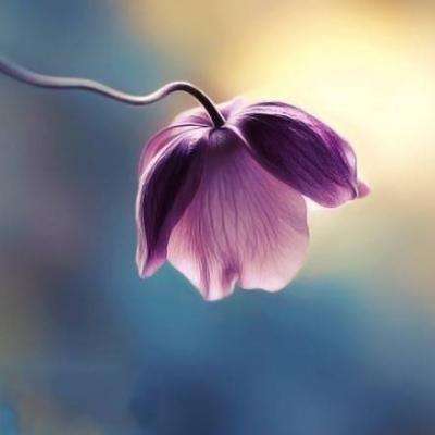 江南娱乐在线登录