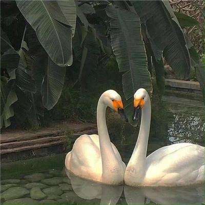 风云体育官方APP网址截图