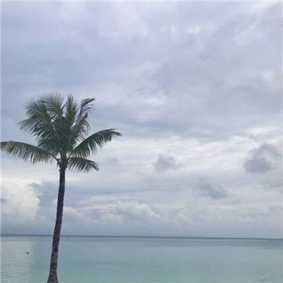 威尼斯欢乐娱人棋牌app下载