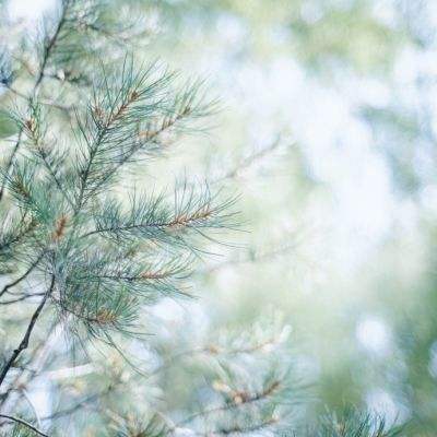 风云体育官方APP网址