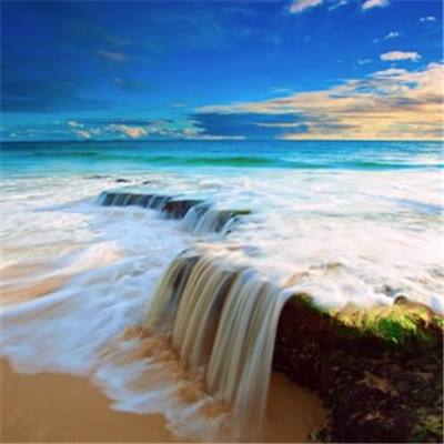 金年会下载手机版截图