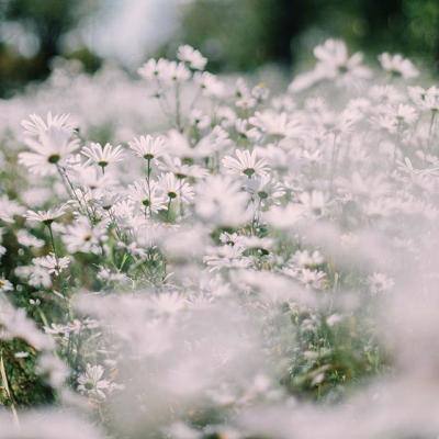 香港2023正版免费资料app下载