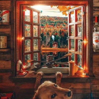 篮球体育彩票app