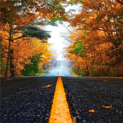 彩神下载手机版