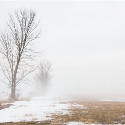 Bob体育综合APP下载客户端