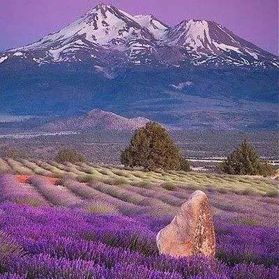 半岛bob综合登入下载手机版